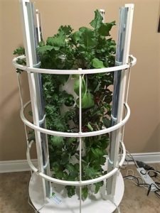 Tower Garden